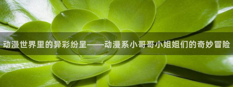 动漫天堂在线：动漫世界里的异彩纷呈——动漫系小哥哥小姐姐们的奇妙冒险