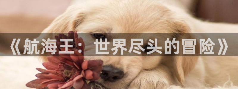 动漫天堂.cc：《航海王：世界尽头的冒险》