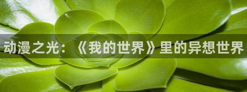 动漫天堂网站：动漫之光：《我的世界》里的异想世界